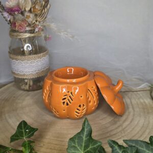 Collection Automne - Brûleur Citrouille Orange