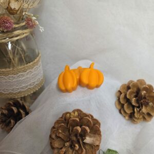 Collection Automne - Fondants Eclispe de lune